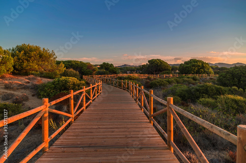 Weathered lumber path leading to calm sea during beautiful sunset