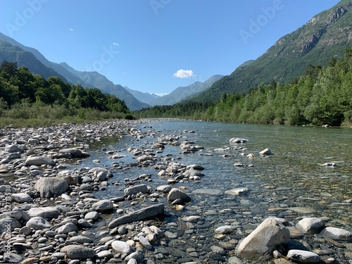 Fluss Maggia im Maggiatal oberhalb von Locarno / Ascona im Tessin / Im Hintergrund Berge und Wald - Schweiz