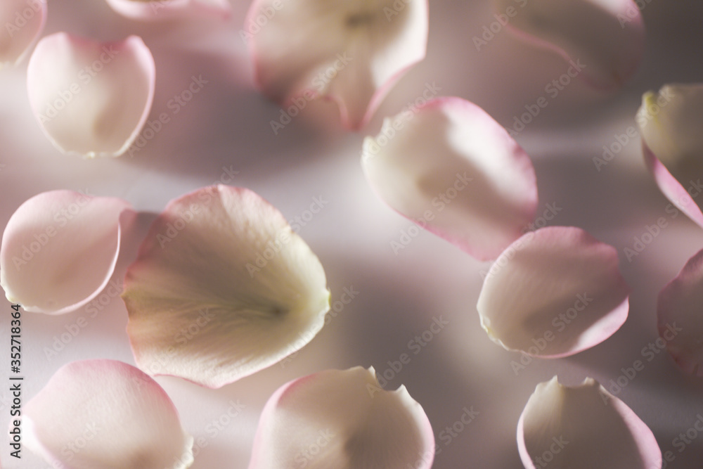 petal material petal material