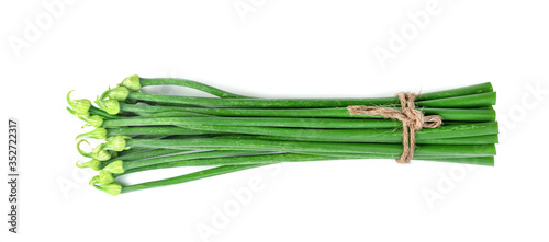 Scallion Flower or Allium cepa or Onion Flower Stem isolated on white background