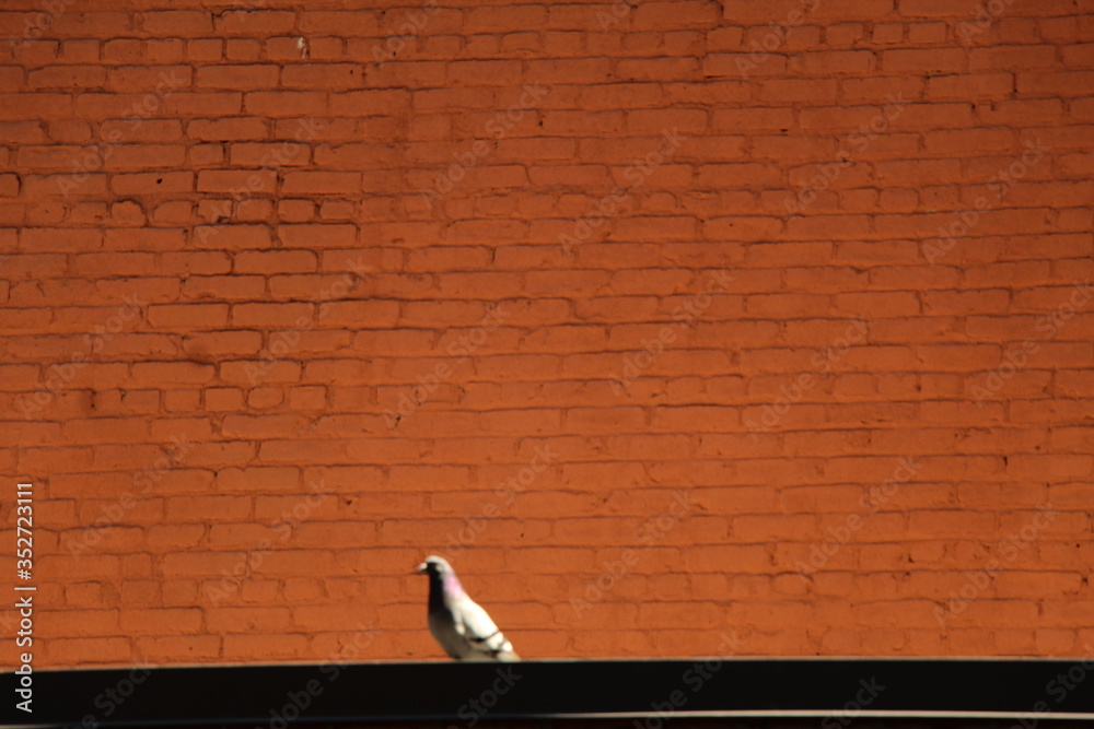 red brick wall