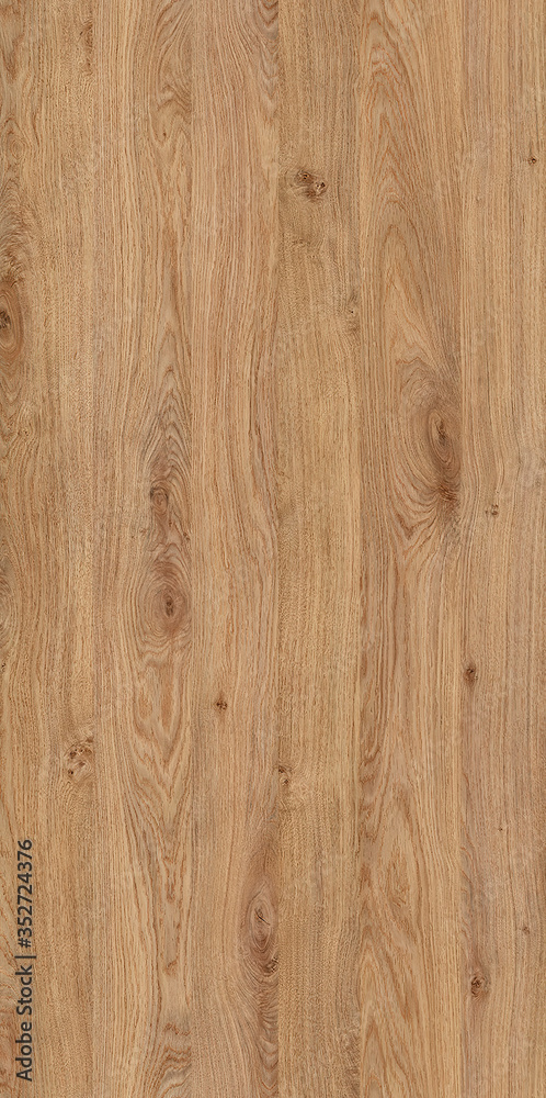 Fototapeta premium natural wood texture