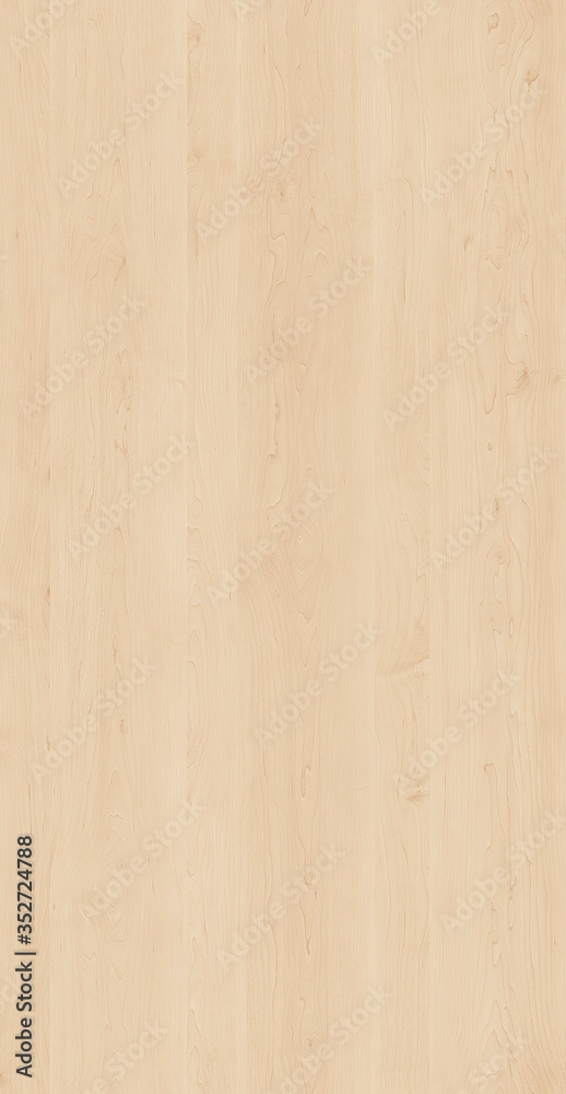 Fototapeta premium natural wood texture