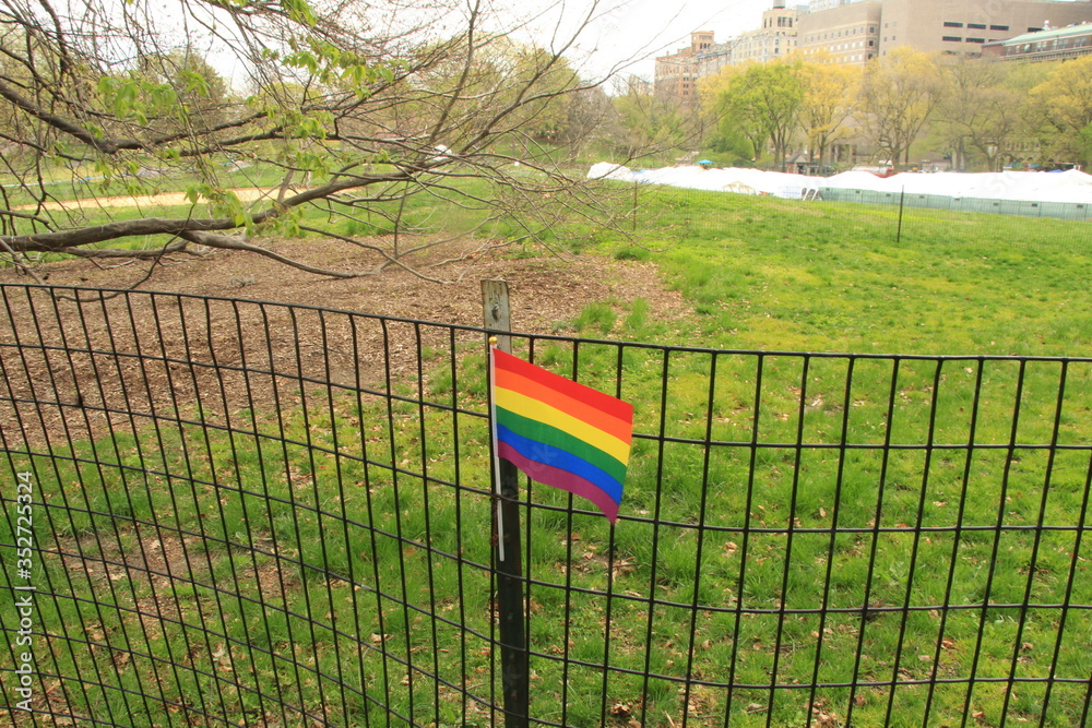gay flag