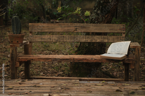 wooden bench in the park