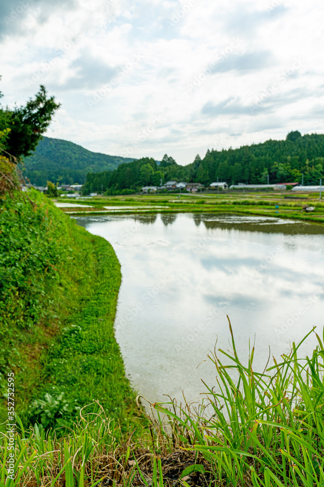 Fototapeta premium 田舎の田園風景