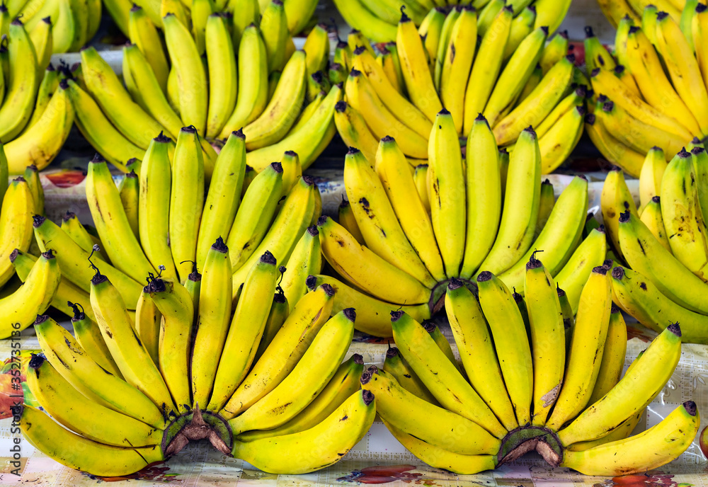 Bananas for sale on a fruit market stall in Quito, Ecuador, the largest exporter of bananas in the world.