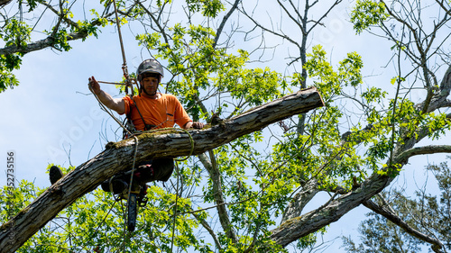 Worker in orange shirt in tree cutting off dead branches