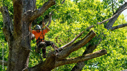 Worker in orange shirt in tree cutting off dead branches
