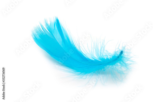 Beautiful blue feather © pandaclub23