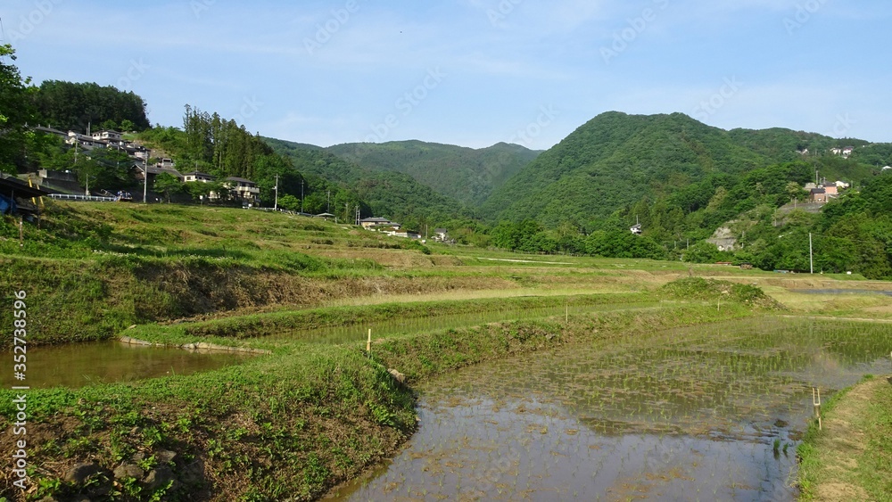 山を背景にした棚田の風景／Terasaka Rice Terrace in Saitama Prefecture, Japan