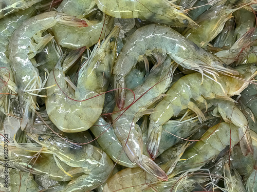 white shrimp in the market photo