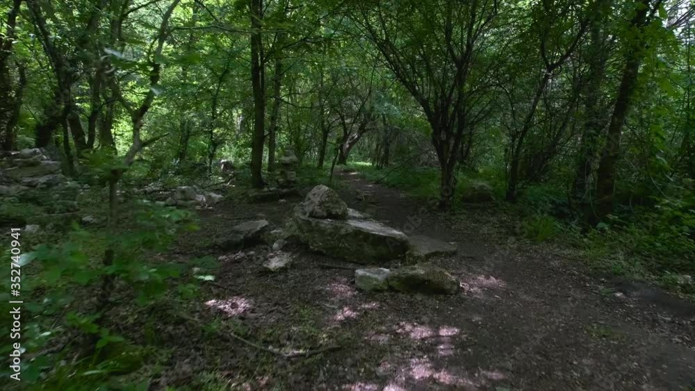 Walking in the lush green forest through obstacles 4k 60fps Walking in the lush green forest through obstacles 4k 60fps