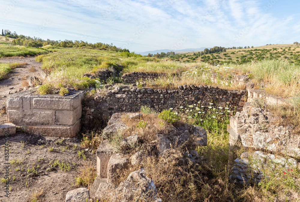 The ruins of the fortress wall of the Ateret fortress - Metzad Ateret - Qasr Atara - located next to the Gesher Benot Ya'akov bridge on the Jordan River, in northern Israel
The ruins of the fortress wall of the Ateret fortress - Metzad Ateret - Qasr Atara - located next to the Gesher Benot Ya'akov bridge on the Jordan River, in northern Israel
