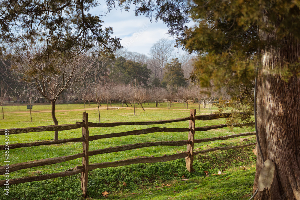 Rustic Fence in the Countryside with green Grass and Trees