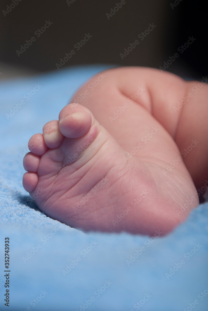 Newborn baby foot and leg on a blue blanket Newborn baby foot and leg on a blue blanket
