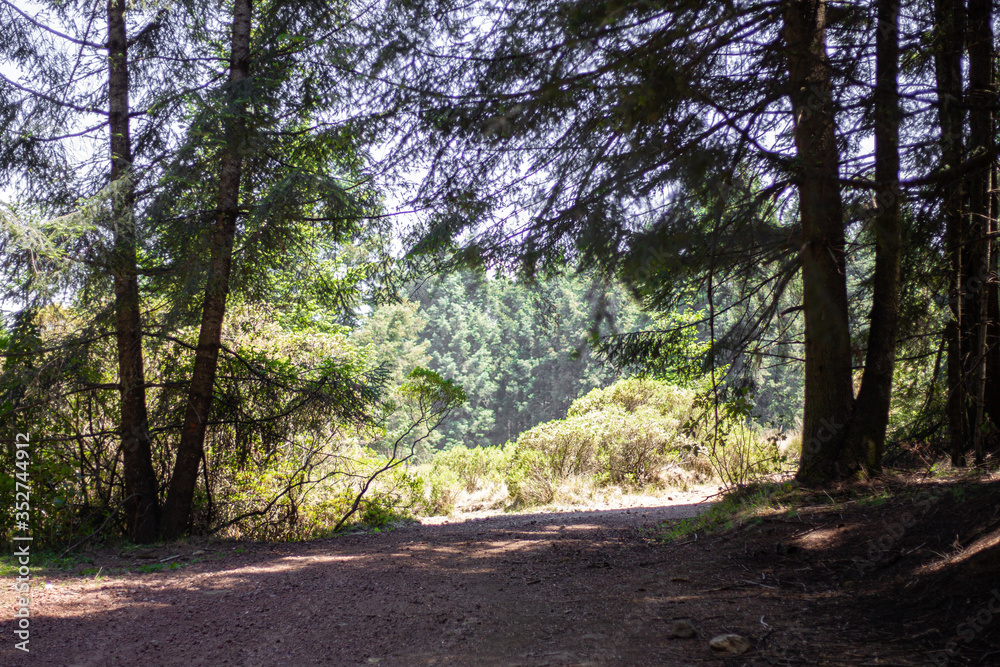 Fototapeta premium national park La Marquesa Mexico city