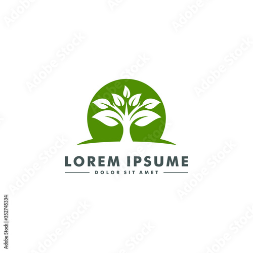 Natural leaf, eco flower icon symbol design vector illustration