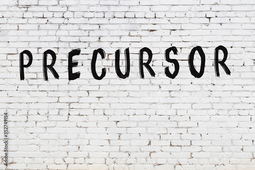 Word precursor painted on white brick wall photo