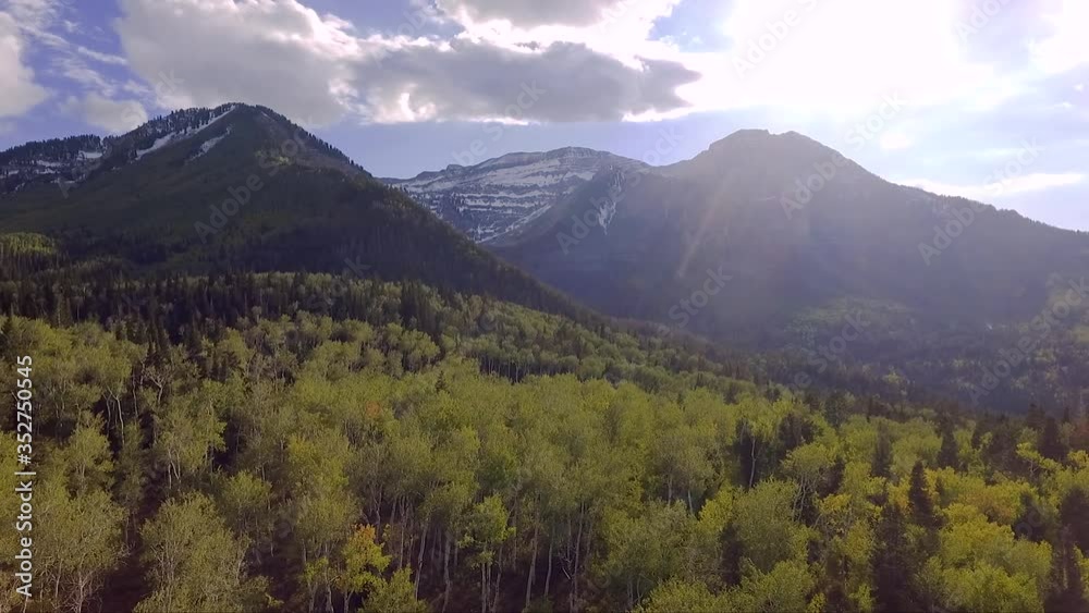 A drone flies away from Mount Timpanogos revealing the golden aspen trees of the Wasatch Mountains. A drone flies away from Mount Timpanogos revealing the golden aspen trees of the Wasatch Mountains.