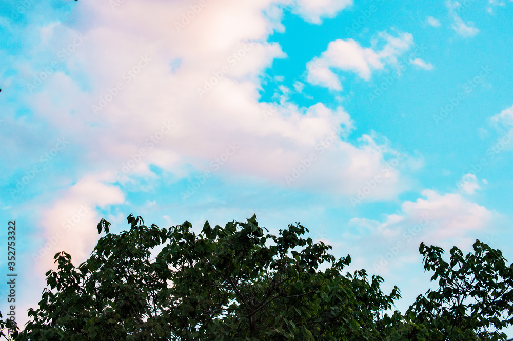 Obraz premium La naturaleza 