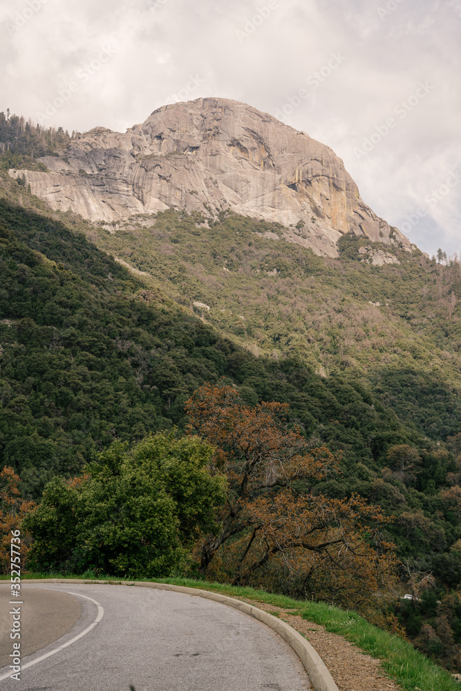 Fototapeta premium road in mountains