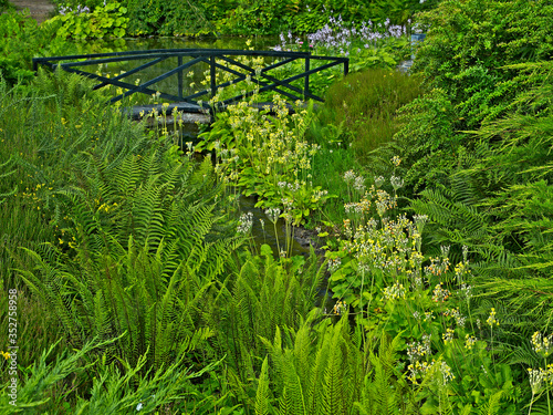 Bridge over a stream in a French Woodland garden and Arboretum photo