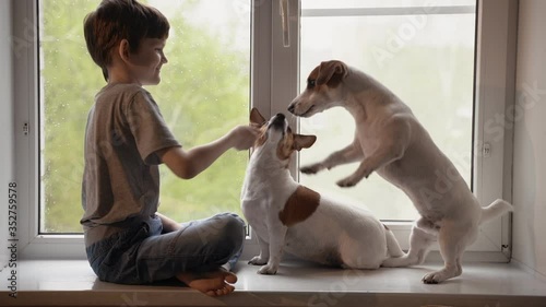 Cute child with his dog friend looking to the window.