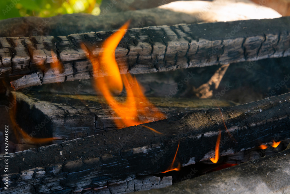 flame of fire on nature. BBQ preparation. Picnic flame of fire on nature. BBQ preparation. Picnic