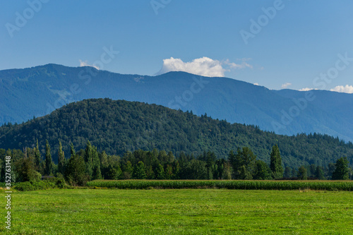 green mountain meadow tranquil summer view british columbia canada.