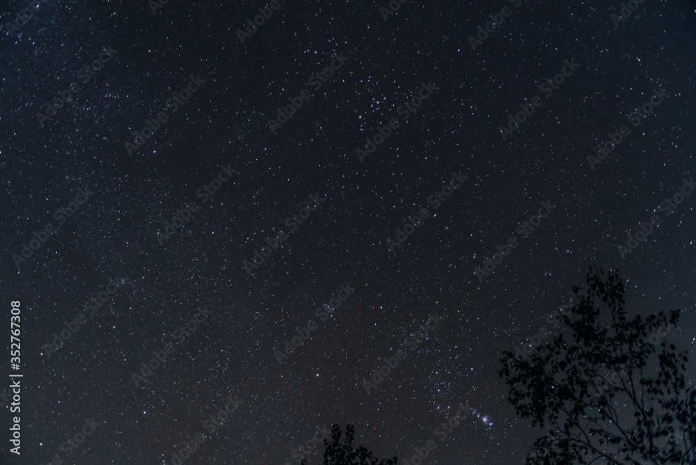 Naklejka premium 長野 阿智村の星空