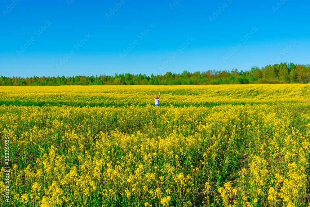 bright colorful spring and summer landscape for wallpaper. Yellow field of flowering rape against a blue sky with clouds. Natural landscape background with copy space