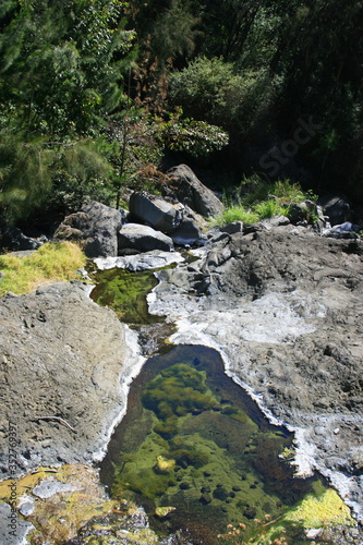 Point d'eau dans la forêt Réunionaise