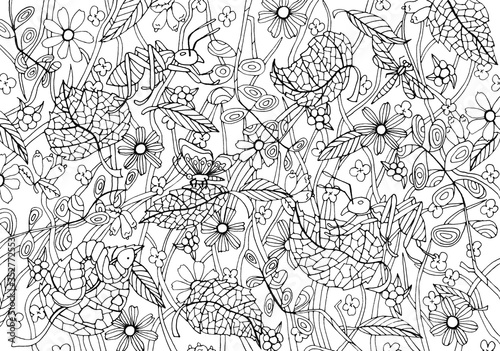 Coloring Book. Colouring pictures with insects, plants and berries. Antistress freehand sketch drawing.