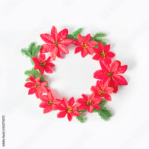 wreath of red poinsettia flowers and green fir twigs on a white background. space for text  Christmas concept  square frame