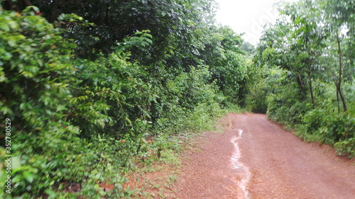 Nature