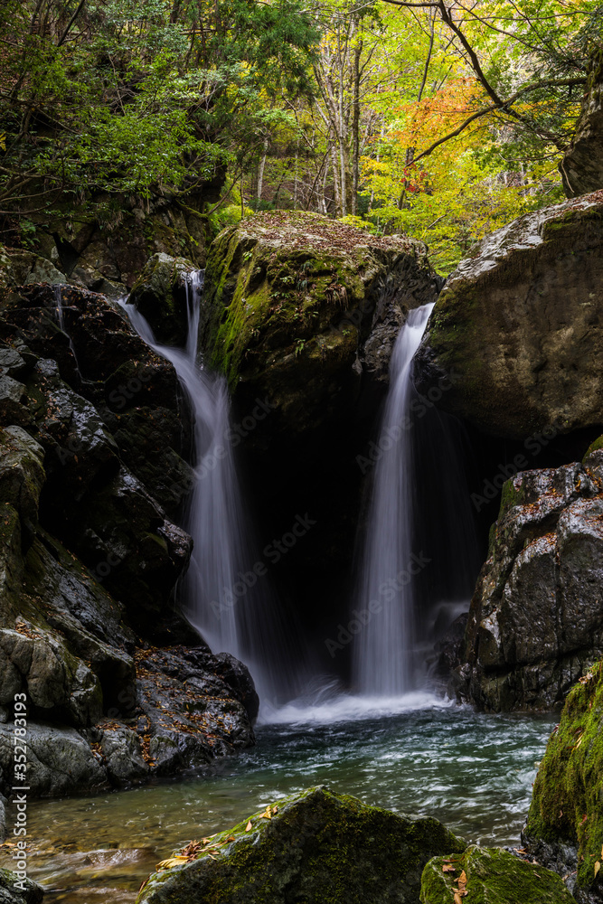 Fototapeta premium 双子の滝