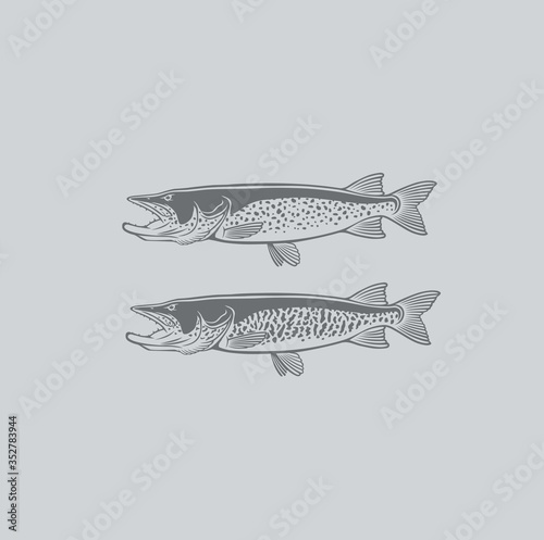 Pike fishing logo photo