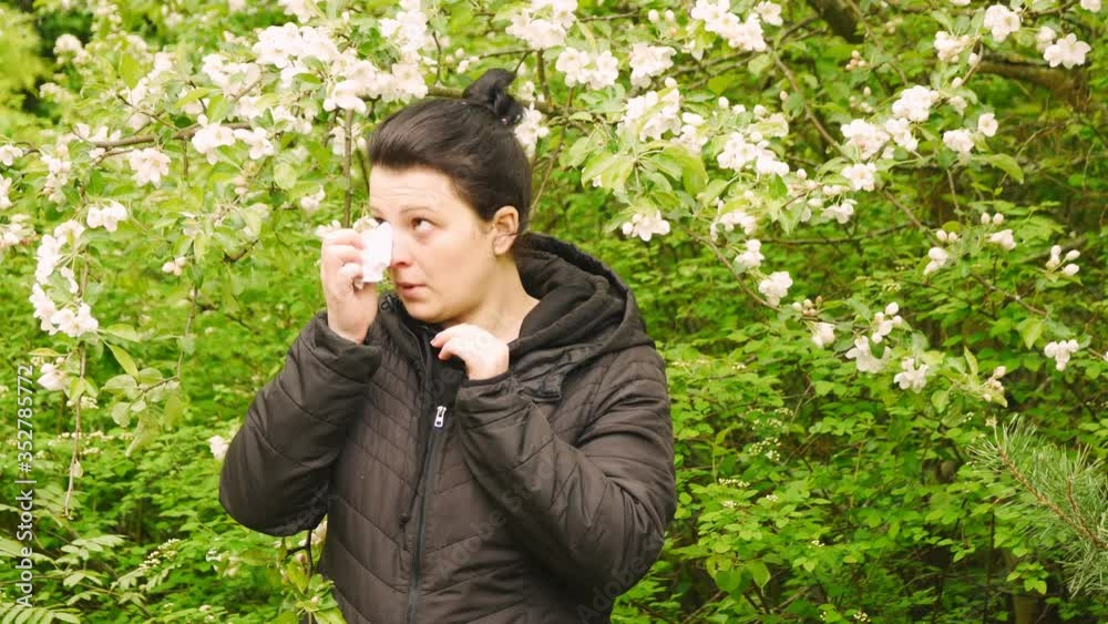 The girl with the Allergy is from a flowering tree. The girl with the Allergy is from a flowering tree.