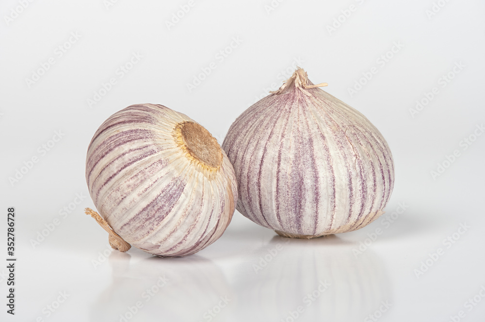 Obraz premium garlic isolated on white background