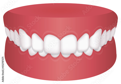 Teeth trouble ( bite type ) vector illustration  /Deep bite