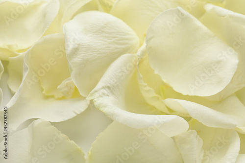 Beautiful white rose petals as background © Pixel-Shot