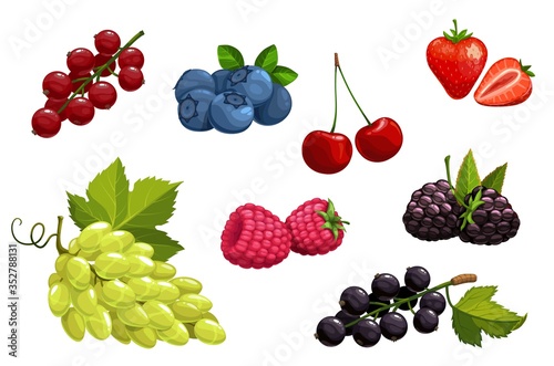 Fototapeta Naklejka Na Ścianę i Meble -  Cartoon berries vector strawberry, bunch of white grape and blackberry, raspberry, cherry, black and red currant with blueberry. Sweet juicy berries, vegan, vegetarian and raw foodist nutrition icons