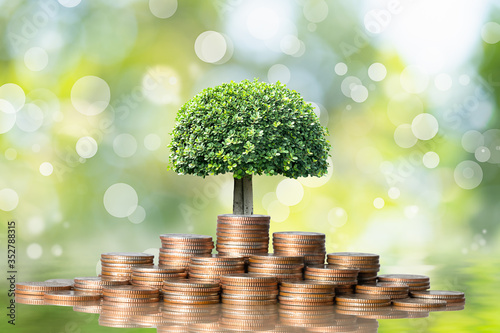 Young plant grow and coins stack, Pension fund, 401K, Passive income, Investment and retirement concept. savings and Business investment growth concept. Risk management.