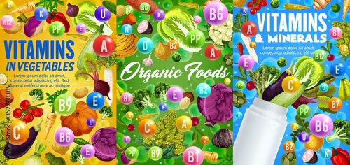 Vitamins and minerals in vegetables. Vector veggies tomato, eggplant and beet, carrot, cabbage and green peas. Broccoli, avocado and onion, cucumber, bell pepper. Potato, corn organic food poster