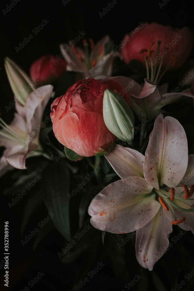 Obraz premium pink peonies and pink lily on black background