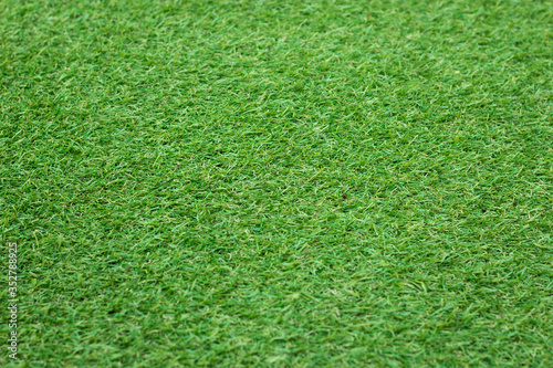 Close up of Green Grass Background, Center Focus Point