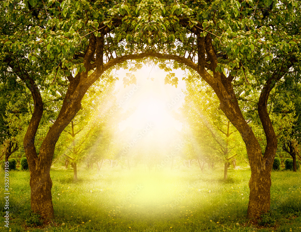 Fantasy apple trees garden with natural arch entrance and sun rays