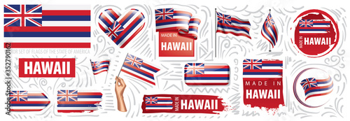 Vector set of flags of the American state of Hawaii in different designs