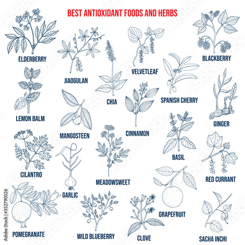 Antioxidant foods and herbs